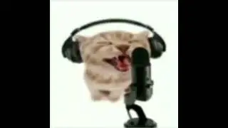 Hello
