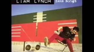 Liam Lynch - Fake Pixies Song