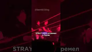 Первый концерт Stray Kids в Сеуле #kpop #straykids #straykidstour #kpopnews