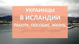 Украинские беженцы в Исландии: как попасть в страну, пособия, зарплата и жизнь
