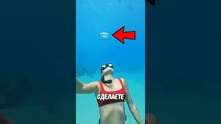 Как Сделать Кольца Из Пузырей? 🤯