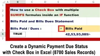 Create a Dynamic Payment Due Status with Check Box in Excel | SUMIFS, TEXT Formula in IF Function