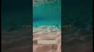 ищи в телеграм "алмаз женский клуб"
