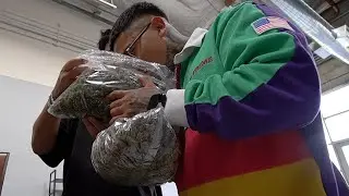 Flipping PACKS IN LA
