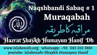 Muraqaba (مراقبہ) : A Guide to Sufi Meditation Practice by Shaykh Humayun Hanif دامت بركاته  | Urdu