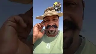 يوم جميل في البرية
