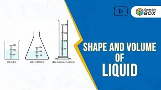 Shape and Volume Of Liquids | Grade 5 Science Experiment | Sparklebox