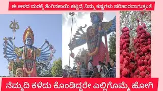 kambalipura kateramma temple #trending #shortsviral #shorts