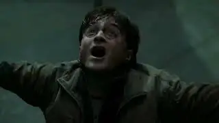 Harry vs Voldemort extended version , Deathly Hallows: Part 2