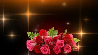 light effect video effect | color light effect | video effect (Wd Wedding Effects)