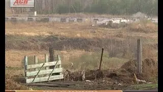 Вредное соседство