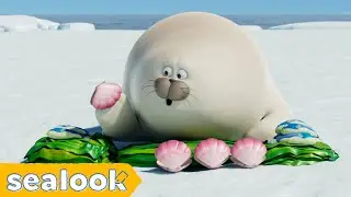 ASMR🔈 Mukbang with Chubby Seal 