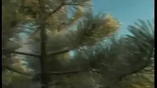 Аерылабыз. Татарча Караоке | Татар халык жыры
