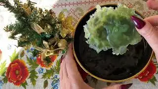 ПОСЛУШАЙ❗️🤯😳 ЧТО НЕОЖИДАННО ВОРВЁТСЯ В ТВОЮ ЖИЗНЬ❗️🤩🥰🔥 ТОЧНОЕ ГАДАНИЕ НА ВОСКЕ.