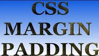 CSS Padding bottom  CSS Margin css padding left CSS padding top  css padding right