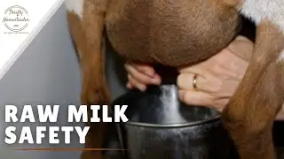 Raw Milk Safety