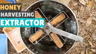 How Honey is Harvested using Honey Extractor: Shown in 90 Sec