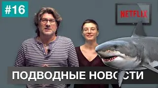 🎯  ПОДВОДНЫЕ НОВОСТИ #16. Дайвинг. Фридайвинг. Подводная охота.