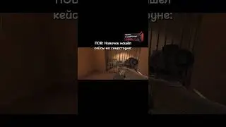 ЖИЗА | STANDOFF 2 #стандофф2 #standoff2 #dozi