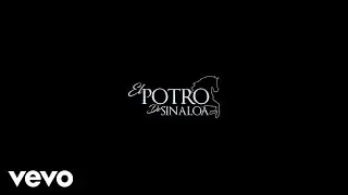 El Potro de Sinaloa - Chuy Y Mauricio (En Vivo) (Official)