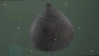 Fig rotating with loop on green screen for chroma key