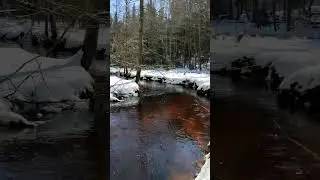Торфяной ручей (смотреть со звуком)