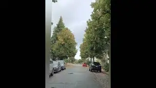 I LOVE DRIVING AROUND WATCHING  TREES & FALLING LEAVES BLOWN AWAY BY STRONG WIND.