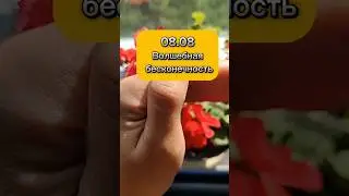 08.08 волшебная бесконечность
