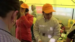 Чай Alokozay в г  Брянске