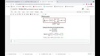 Determinant of Matrices NumPy Python