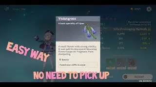 Violent Grass Genshin Impact Easiest Way (No Climbing)