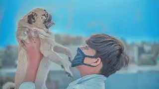 Dog lover photo editing