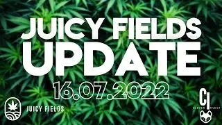 Juicy Fields Firmen Update - 16.07.2022 - Bad News 😬