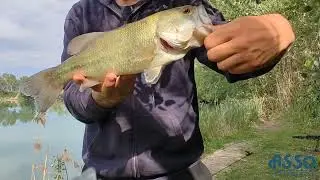 Fly Fishing
