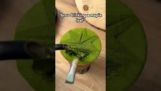 If Matcha Was Yerba Mate.. It'd Be Chimarrão🧉