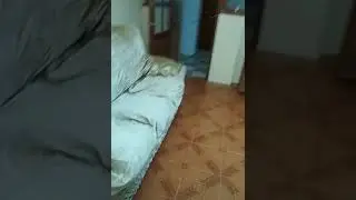 Дом в Иристоне, в садоводчестве.