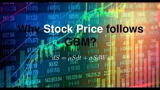  Why Stock Prices Assumed to Follow a Geometric Wiener Process?