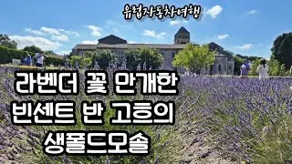 남프랑스여행 라벤더 생레미드프로방스 아를당일치기여행 빈센트반고흐 생폴드모솔 별이빛나는밤 고흐의방 아를의방 슈바이처 카미유클로델 유럽자동차여행 프랑스여행 소도시여행 프랑스여행 38부