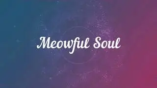 Channel Update