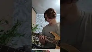 У кого есть питомцы - поймут 