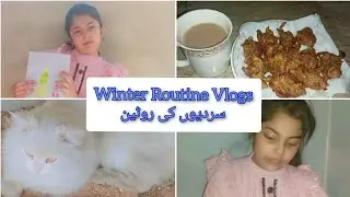 Sardiyon Ki Din Ki Routine||Winter Day Routine||@Anaiza's Vlogology