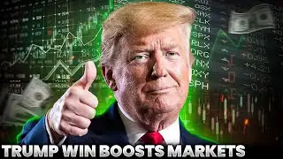 Donald Trump’s Election Sparks Unprecedented Market Volatility! | Donald Trump News