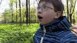 Ещё раз про Золушку