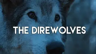 Game of Thrones || The Direwolves