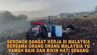 SERONOK SANGAT KERJA DI MALAYSIA BERSAMA ORANG ORANG MALAYSIA YG RAMAH BAIK DAN BIKIN HATI SENANG
