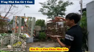 B.ẫy Được Khuyên Đẹp Và Lên Nhà Cu Em Xem Giàn Chim Tâm Huyết // Chiến Ơi