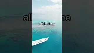 7 Things To Know BEFORE Going to Fiji 