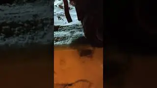 Зимний недостаток Газель Некст