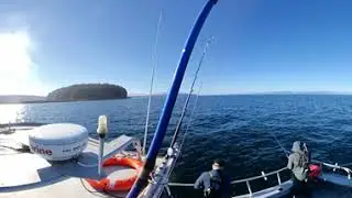 Whalers Cove Lodge Herring Bait Fishing 360 4K