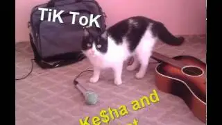 Ke$ha TiK ToK [ Cat Version ]